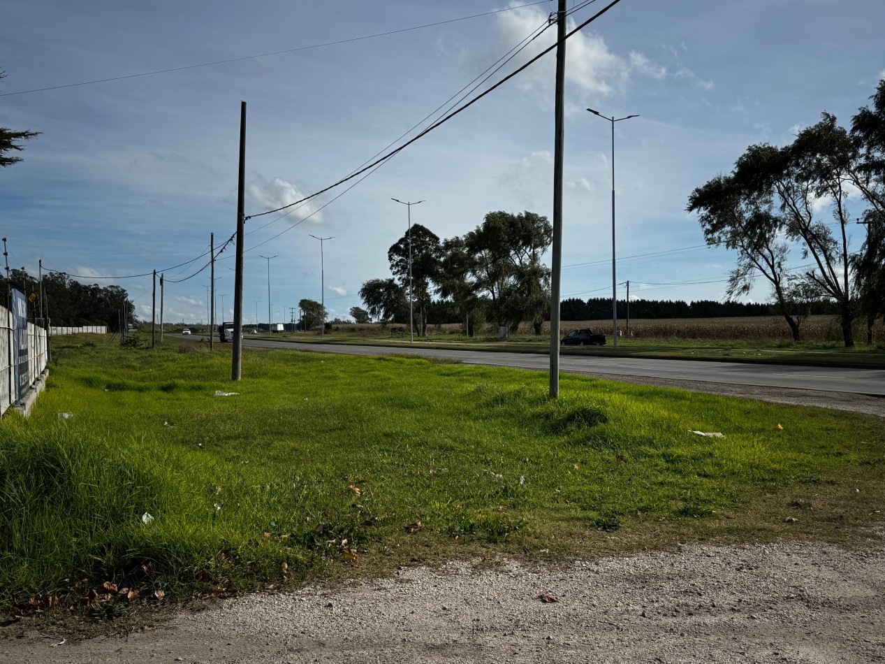 Terreno de 4000 m² sobre Ruta 88 , Mar del Plata - Ideal para desarrollo industrial o logistico