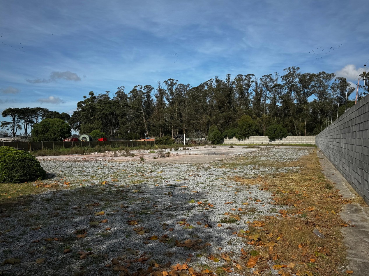 Terreno de 4000 m² sobre Ruta 88 , Mar del Plata - Ideal para desarrollo industrial o logistico