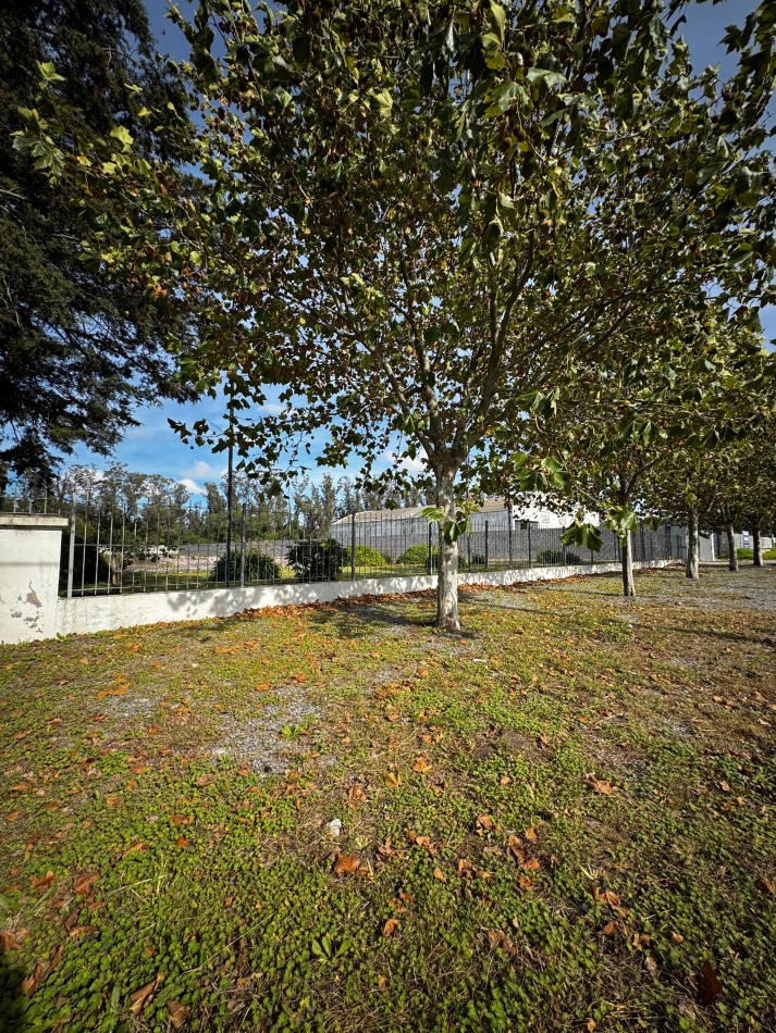 Terreno de 4000 m² sobre Ruta 88 , Mar del Plata - Ideal para desarrollo industrial o logistico