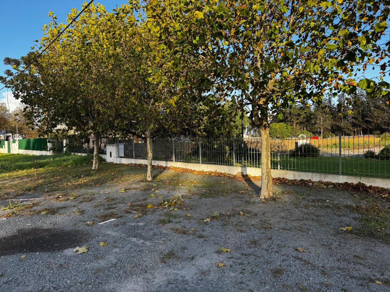 Terreno de 4000 m² sobre Ruta 88 , Mar del Plata - Ideal para desarrollo industrial o logistico